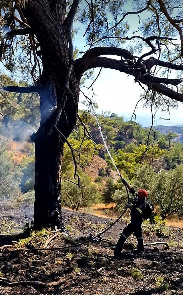 Φωτιά στη Βιάννο