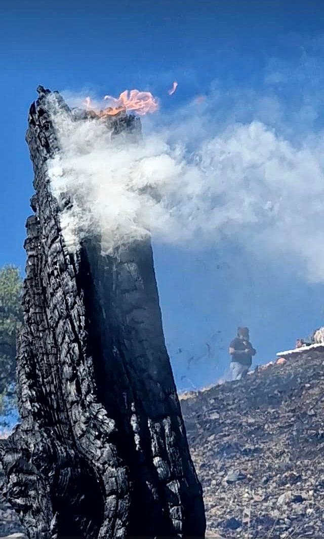 Φωτιά στη Βιάννο