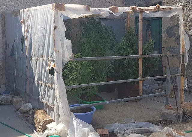Κρήτη: Καλλιεργούσε τα ναρκωτικά στο σπίτι του