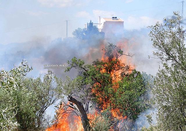 Αργολίδα - Πυρκαγιά