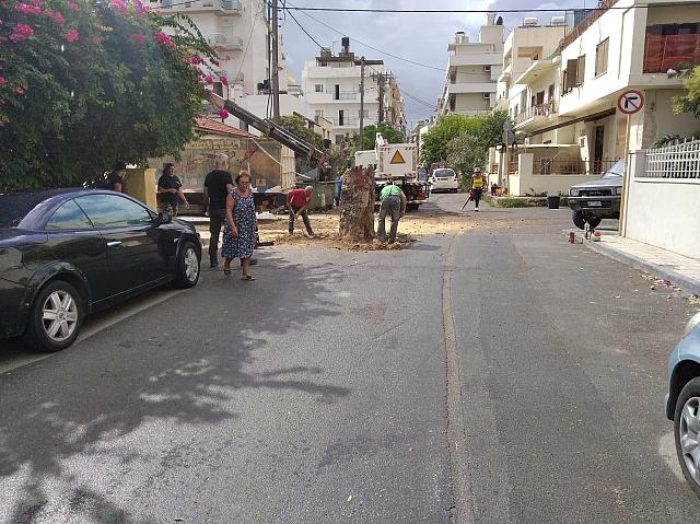 Πεύκο στα τρία Πεύκα