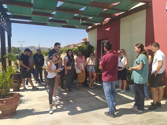 κρητικός αμπελώνας