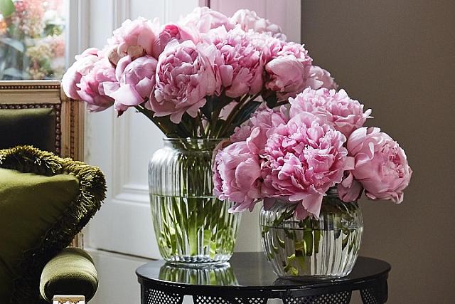 βαζο με παιώνιες