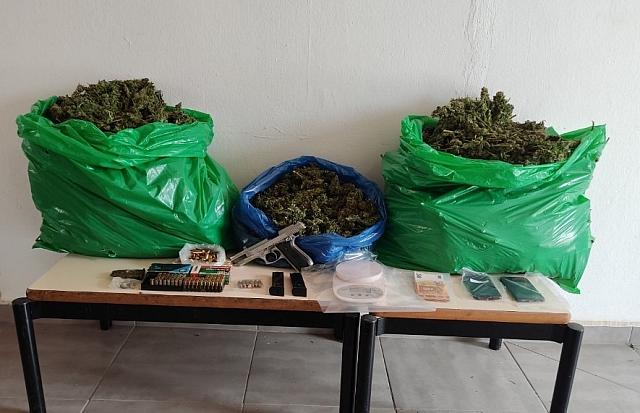 χασίς - Ζωνιανά