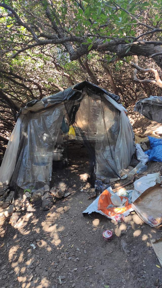 χασισοφυτεία χανιά