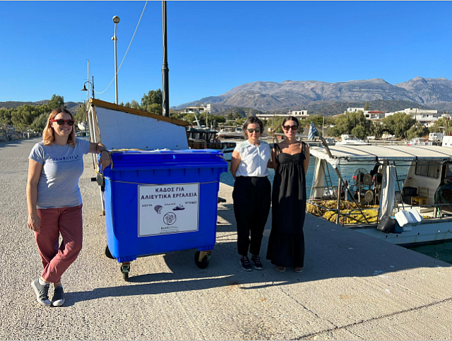 μεσαρά δίχτυα