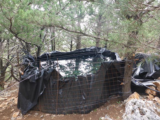 Βρήκαν μεγάλη χασισοφυτεία