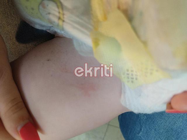 παιδί σκύλος αμμουδάρα