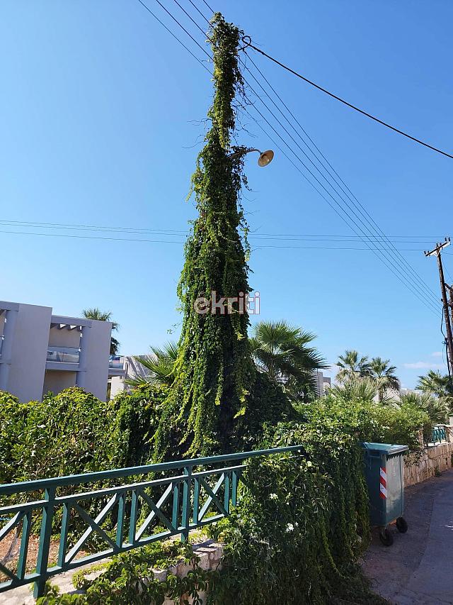 στύλος δεη γούβες