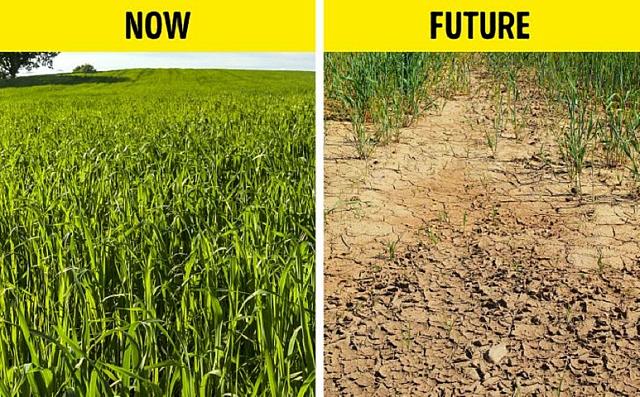 κλιματική αλλαγή