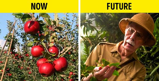 κλιματική αλλαγή