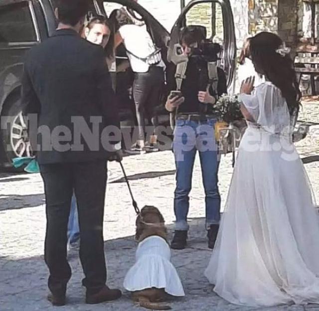 ΣΚΥΛΟς ΠΑΡΑΝΥΜΦΟς