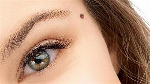 Ελιά στο «πόδι της χήνας»