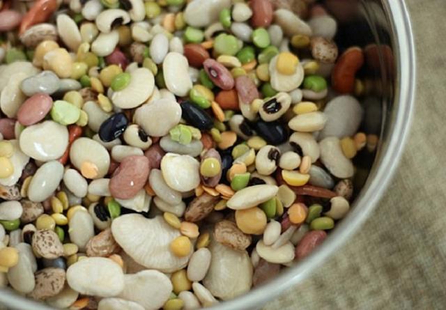 πολυσπόρια