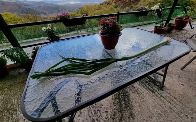 πράσο Τρίκαλα