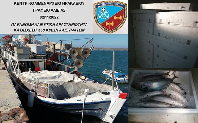 Ηράκλειο: Ψάρεψαν μισό τόνο παλαμίδα αλλά ...έμπλεξαν