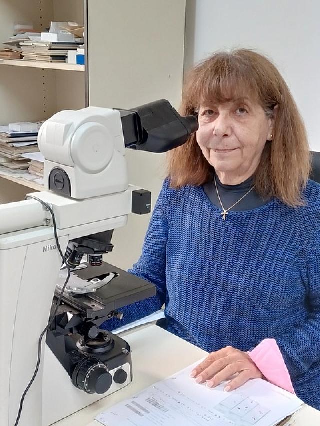 Μαρία Τζαρδή