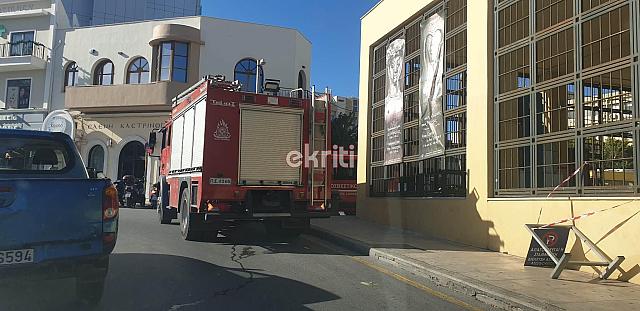 δέντρο μουσείο