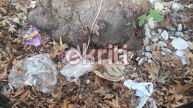 πλάτανος σκουπίδια