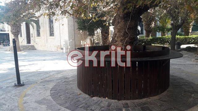 πλάτανος σκουπίδια