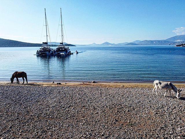 νικολαϊδης κυκλάδες