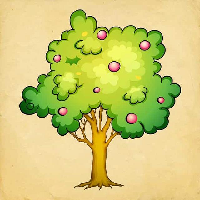 Δαμασκηνιά