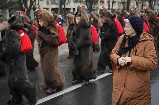 αρκουδα - Ρουμανία