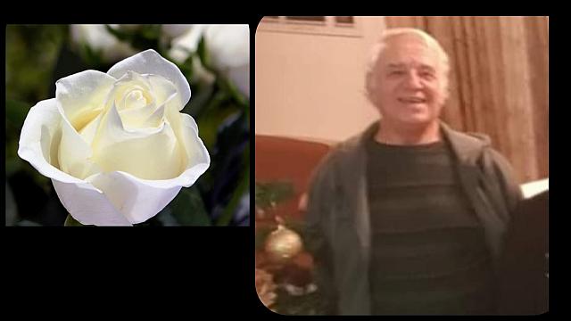 Έμπορας - Μοίρες