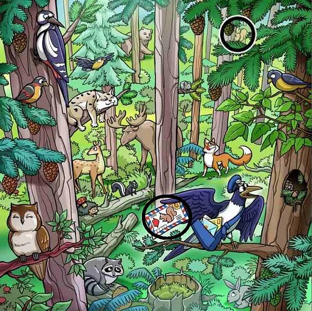 οφθαλμαπάτη