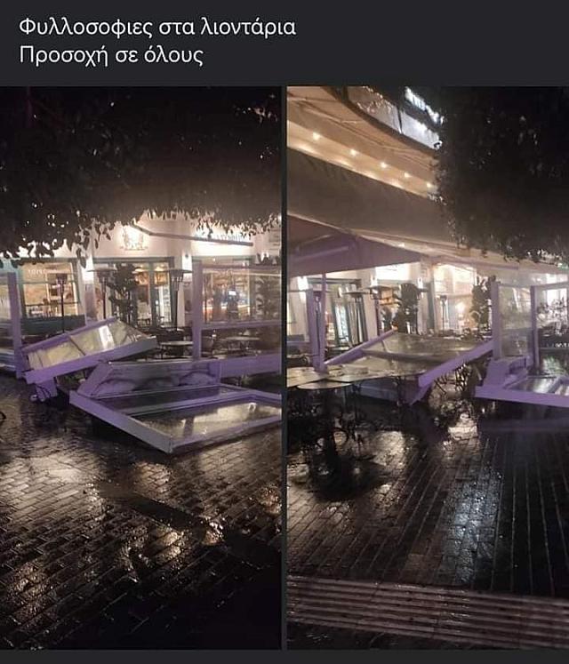 λιοντάρια άνεμοι