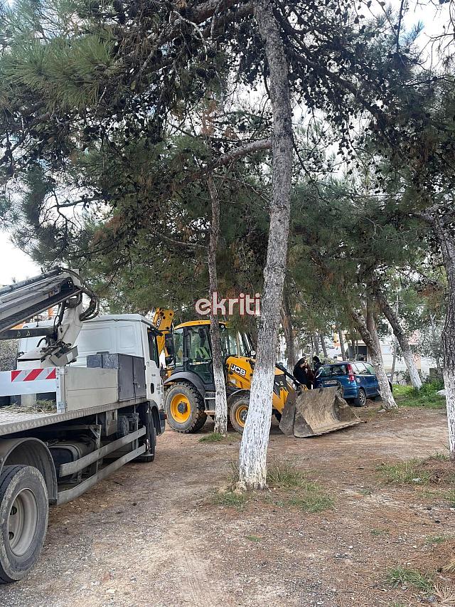 Δέντρα - Δειλινά