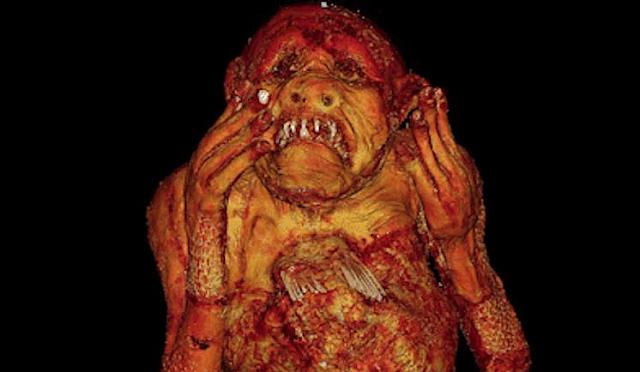 ΓΟΡΓΟΝΑ ΙΑΠΩΝΙΑς