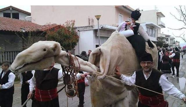 έθιμο της Καμήλας