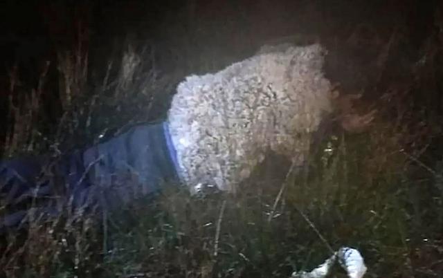 αποδραση με προβιά