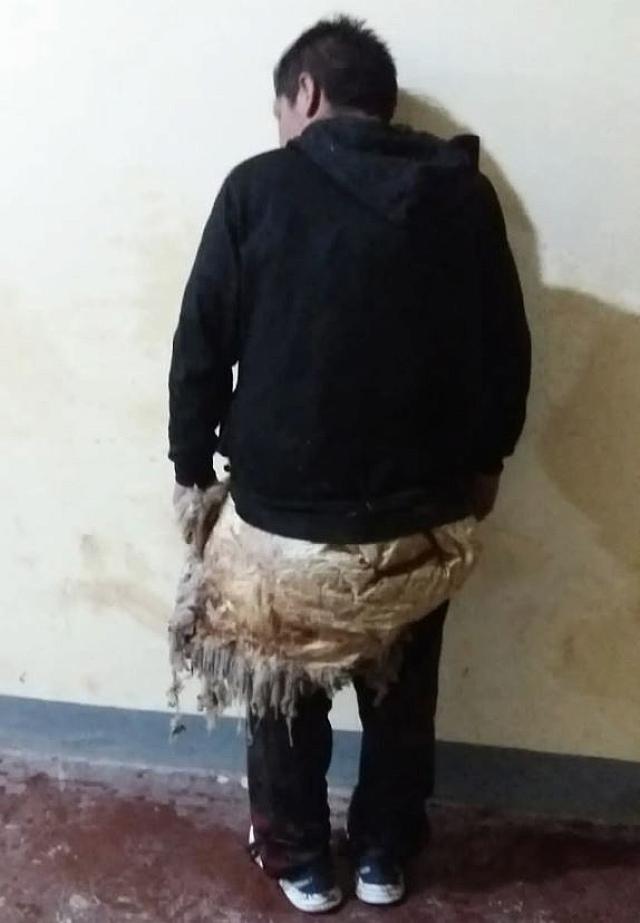 αποδραση με προβατο