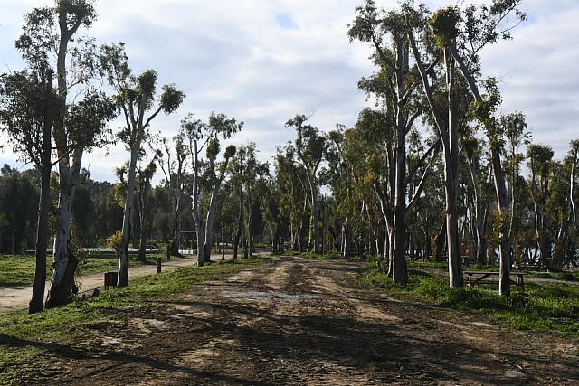ΕΛΟς ΑΓΥΙΑς