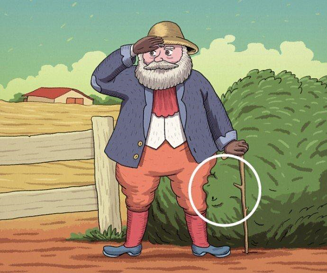 ΕΙΚΟΝΑ ΤΕΣΤ