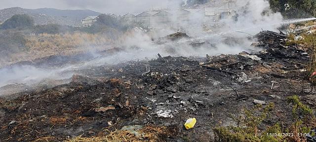 φωτιά βιάννος