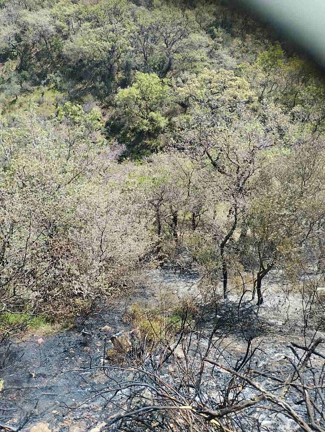 Ηράκλειο: Κινητοποίηση της Πυροσβεστικής Υπηρεσίας για φωτιά