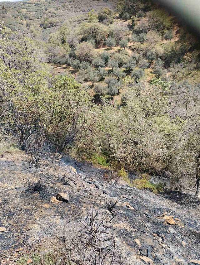 Ηράκλειο: Κινητοποίηση της Πυροσβεστικής Υπηρεσίας για φωτιά