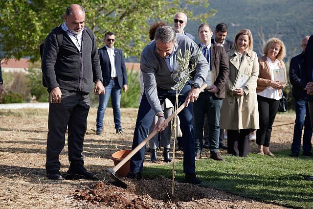 μητσοτάκης ελιά