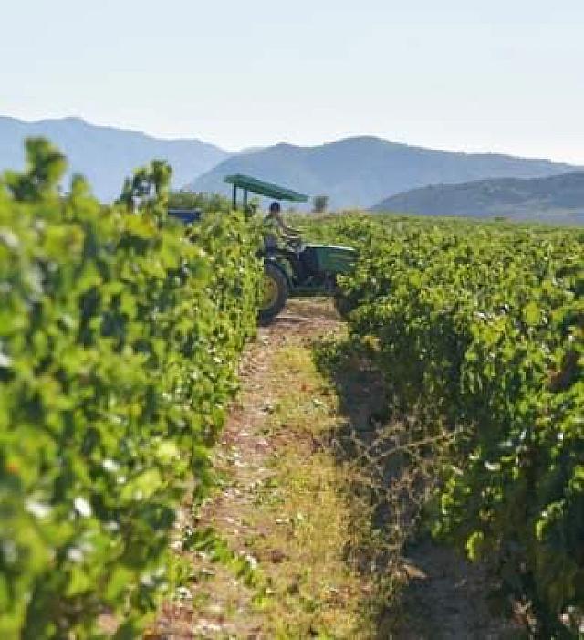 αρδευτικο καντρι - καλεσα