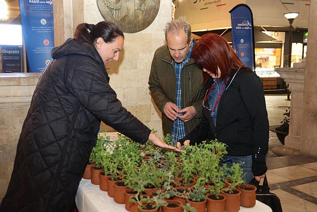 γλάστρες λότζια
