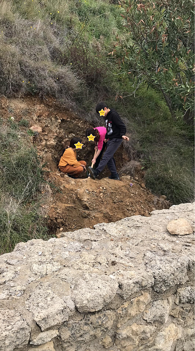 ΔΕΝΔΡΟΦΥΤΕΥΣΗ ΓΕΡΓΕΡΗ