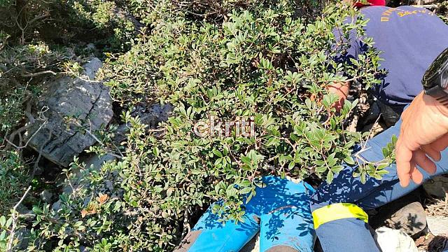 Επιχείρηση Διάσωσης