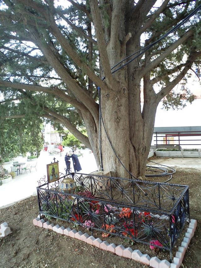 ταφος χατζηανανία