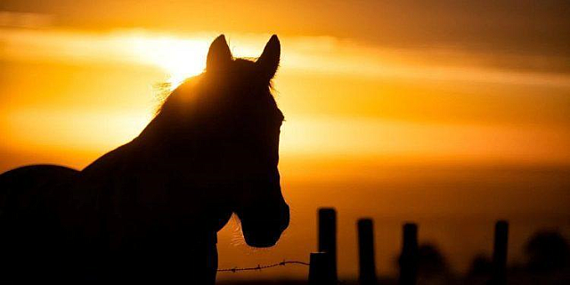 Οπτική ψευδαίσθηση