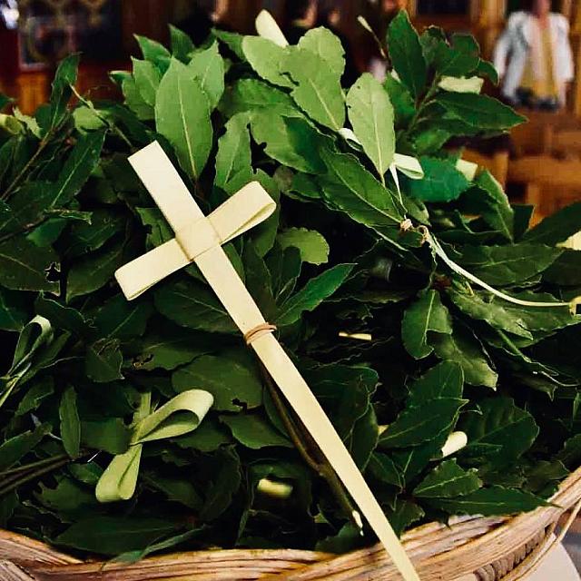  Κυριακή των Βαίων