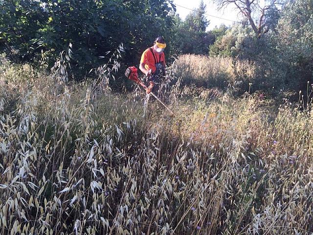 καθαρισμός οικοπέδου