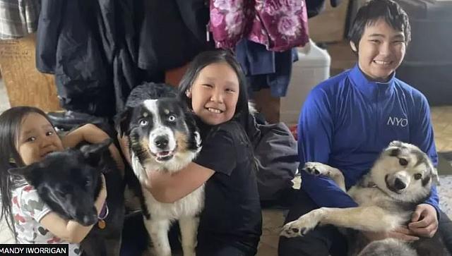 σκυλος Αλάσκα